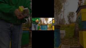 Обработка щавелевой кислотой, Сублиматором