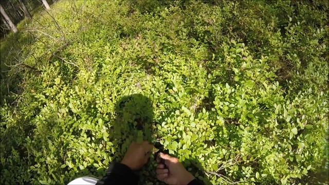 За черникой // Жизнь на хуторе смотреть онлайн