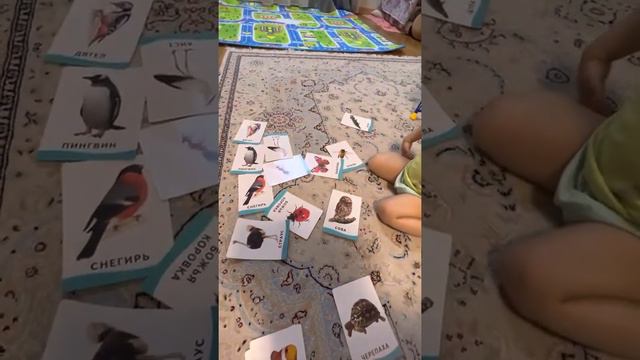 Учим животных 🙃 смотреть онлайн