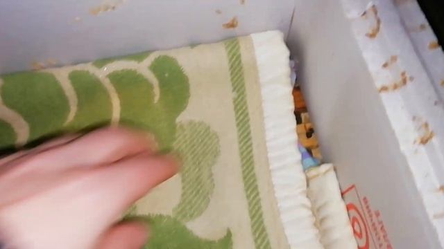 Постановка пчел в зимовник.-Зимовка пчел.
