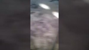 как сделать бенгальский огонь из...