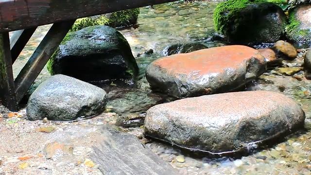 Crystal clear brook - Кристально чистый ручей смотреть онлайн