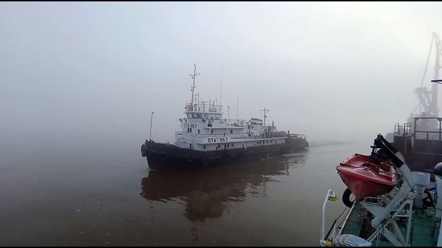 18 октября. МЫ и НЕРПЫ смотреть онлайн