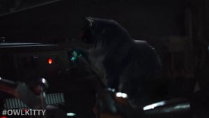 If Baby Yoda was a Cat (Mandalorian + OwlKitty)