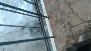 Модернизация блока зажигания АГРО