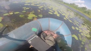 Ловля на виброхвост, видео  rybachil.ru