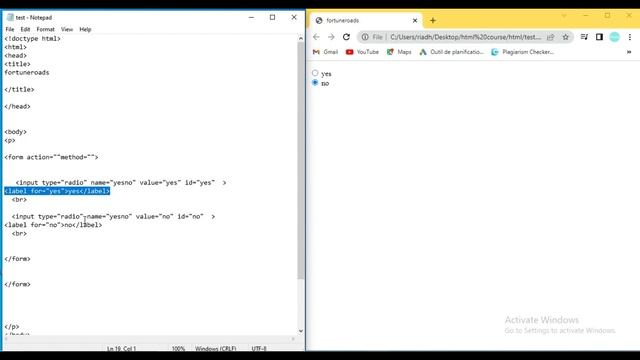 HTML course for beginners. radio buttons.
