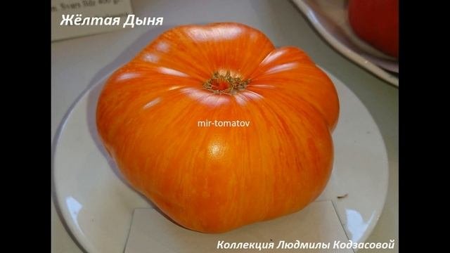 Самые лучшие сорта томатов 2022 года! (часть 6)
