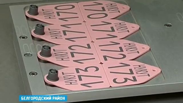 ГТРК Белгород - В промпарке «Северный» запущен завод по выпуску кормовых добавок