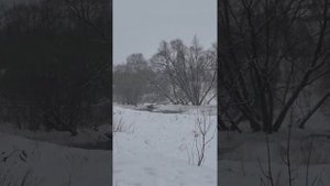 Прогулка вдоль р. Рожайки, Домодедово - Битягово.