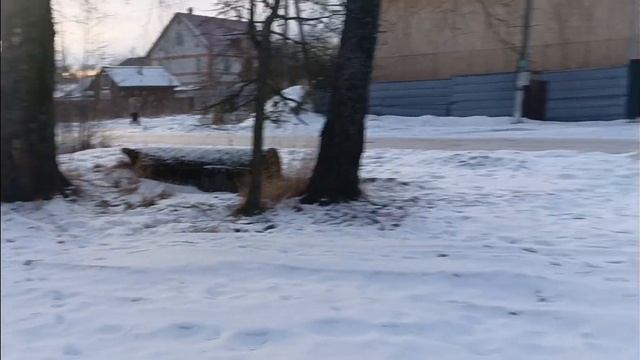 Теплый каркасник в Приозерске. Прибытие. смотреть онлайн