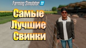 Продажа свиней для обогащения. Farming simulator 22 #65. КООП.