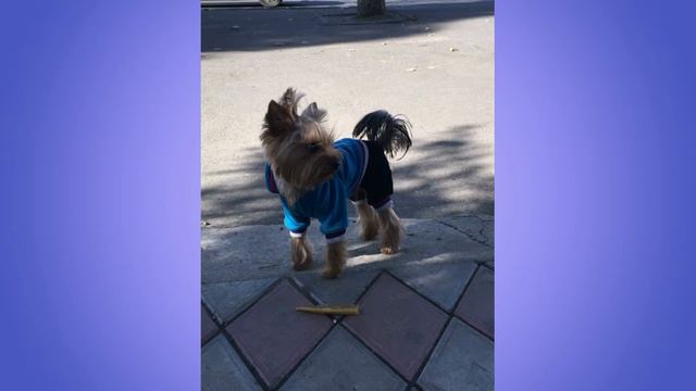 Jonik. The history of life. part 1. Джоник История жизни часть 1. смотреть онлайн