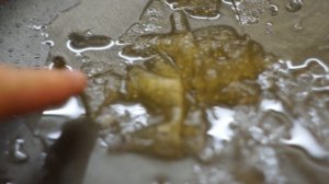 курица, Петелинка, лучшая курятина, Петелинская птицефабрика, Часцы