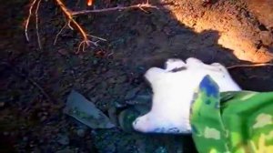 Раскопки клада пятаков в горшке!