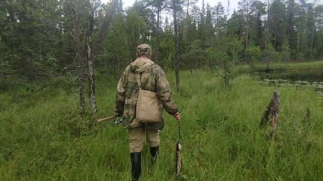 Сказка_про_щуку