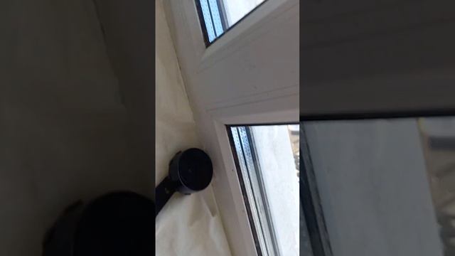 Электрошокер против хряка смотреть онлайн