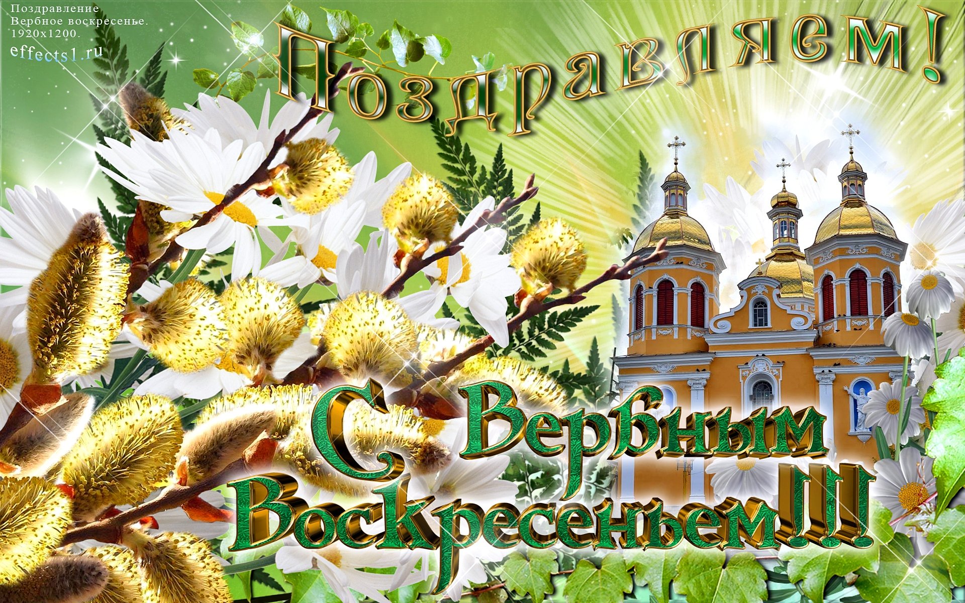 Открытки к вербному дню