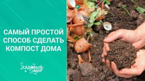 Чудо-компост из кухонных отходов! Самый простой способ сделать компост дома