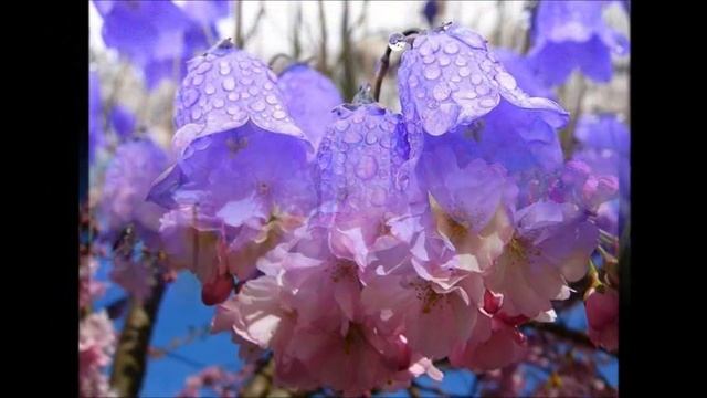 Крис Ри,And you love. 9 (И вы любите) смотреть онлайн