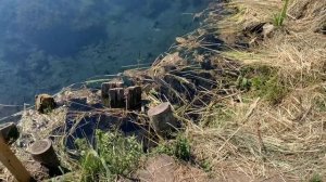 Голубое озеро. Карстовый родник. Природа Башкирии/Куда поехать с детьми/Лето 2020/Домашние Веселушк