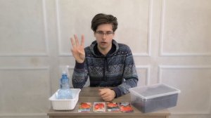 Низкорослые томаты — чем хороши и как их посадить на рассаду?