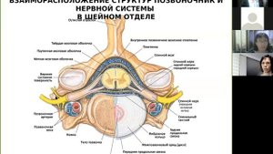 Здоровый позвоночник, лекция №1