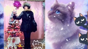 Говорят, не повезёт, если черный кот дорогу перейдет....