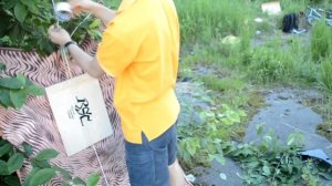 Рогаткой на 40 метров!!! Шок! Современная самодельная рогатка против древней!