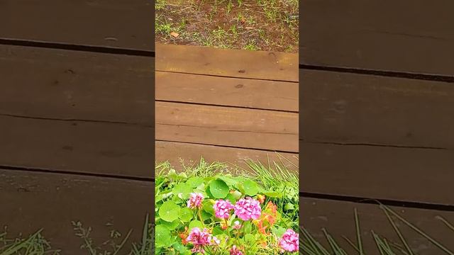 А у нас опять дожди смотреть онлайн