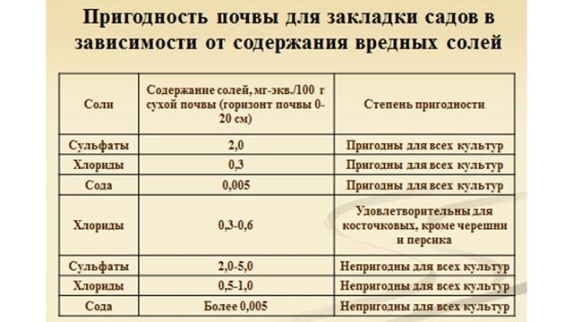 Ремонтантная малина в южных регионах. Особенности выращивания ремонтантной малины на юге.
