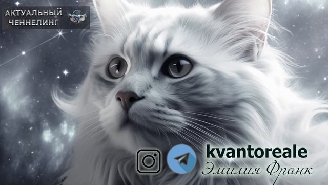 ЧТО ОТЛИЧАЕТ ЖИВОТНЫХ ОТ ЛЮДЕЙ/ WHAT DISTINGUISHES ANIMALS FROM HUMANS