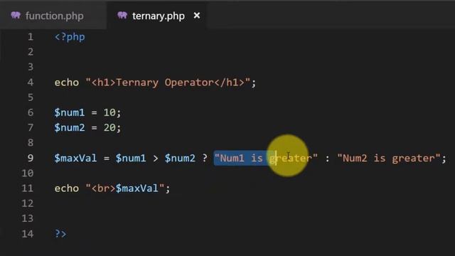 Ternary Operator in PHP - Become a PHP Master - 12