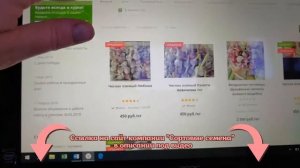 Как посадить озимый чеснок.  Советы специалиста