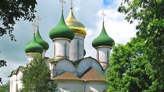 Берёзовые сны