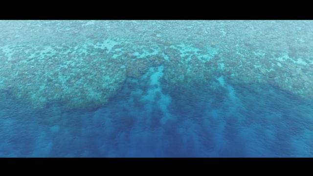 Indonesia Travel & Spearfishing : The Quest 2 смотреть онлайн