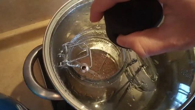 ? Solving and Preventing Algae Problems When Sowing Cacti Seedlings: My Experience смотреть онлайн