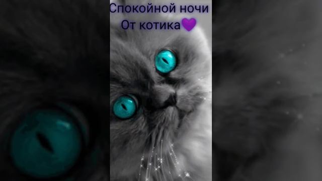 Доброй ночи, сладких снов!❤️ #shorts смотреть онлайн