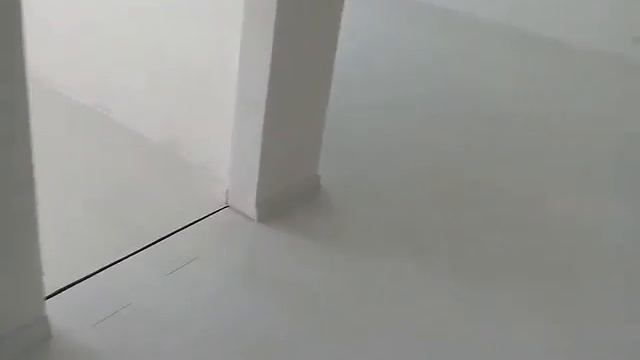 Белгородский половой мастер;) смотреть онлайн