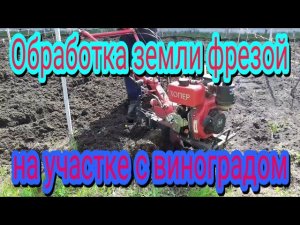 Как можно обработать землю мотоблоком с фрезой, на участке с виноградом