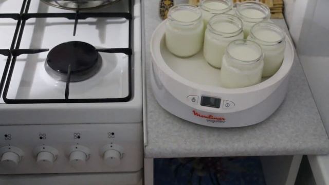 Готовим йогурт в йогуртнице Moulinex YG 230 (231) смотреть онлайн