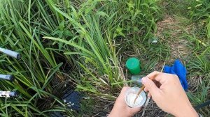 Как правильно приготовить манку болтушку, чтобы она не слезала с крючка