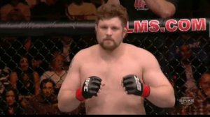 Roy Nelson vs Brendan Schaub TUF Season 10 Finale