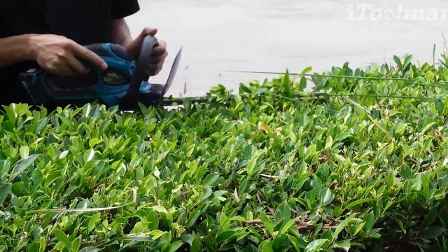 REVIEW เครื่องตัดแต่งพุ่มไม้ไร้สาย MAKITA UH353D ตัวเล็ก น้ำหนักเบา เสียงเบา ทรงพลัง смотреть онлайн