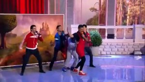 Мой тюльпан!!!!