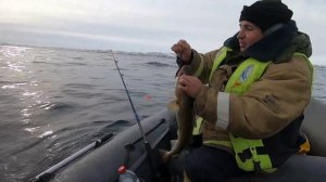ОТЛИЧНО ПОРЫБАЧИЛИ. ТЕРИБЕРКА. Морская рыбалка. "TERIBERKA. Sea fishing."