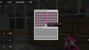 Mineblaze ?Гриферский обзор хаты 1st