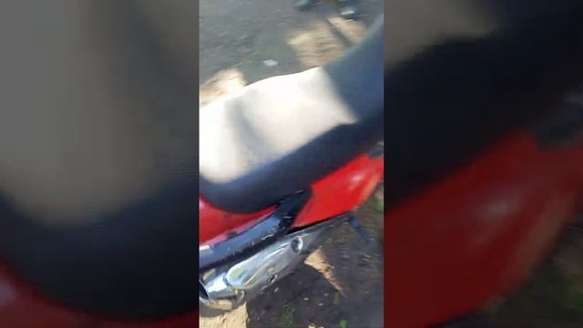 Bars 250 смотреть онлайн