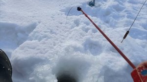 Рыбалка 23 февраля на Воложке