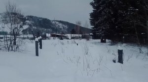 Снегоход Тунгус 500, тест.